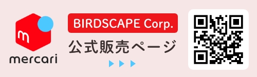 �����J�������̔��y�[�W�͂�����